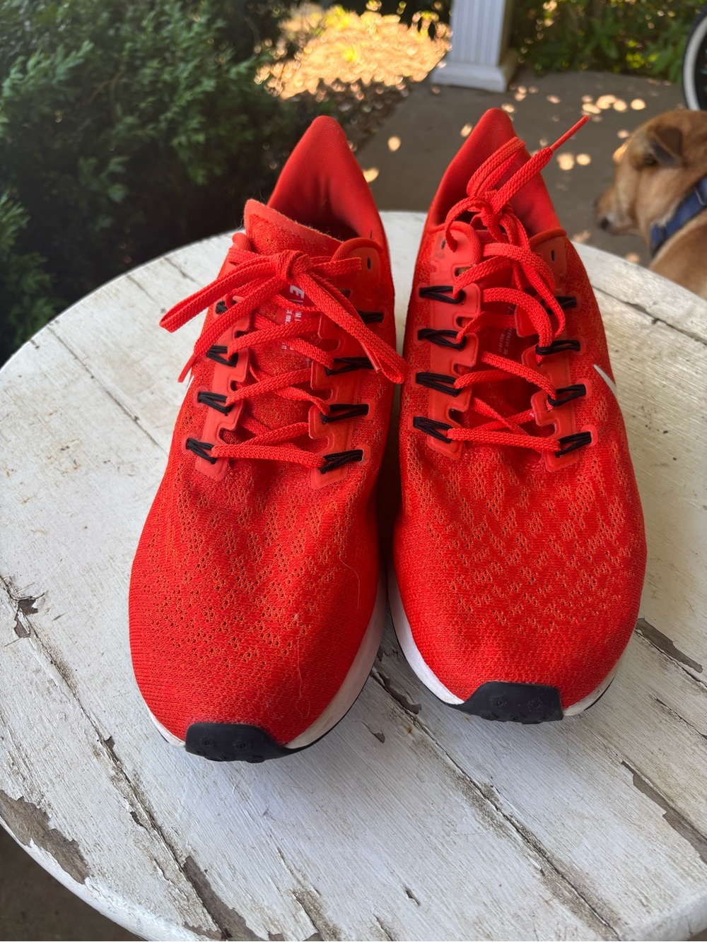 Bright Red Mesh Running Sneakers